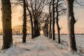 Winterlandschappen