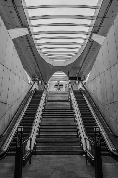 bdTon (1).JPG - Ton