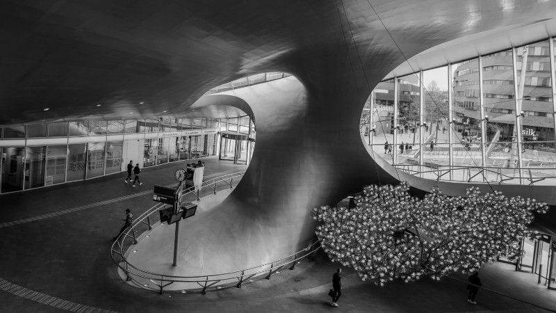 bdTon (4).JPG - Ton