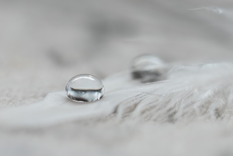 bdLizet creatieve fotografie (1).JPG - Lizet