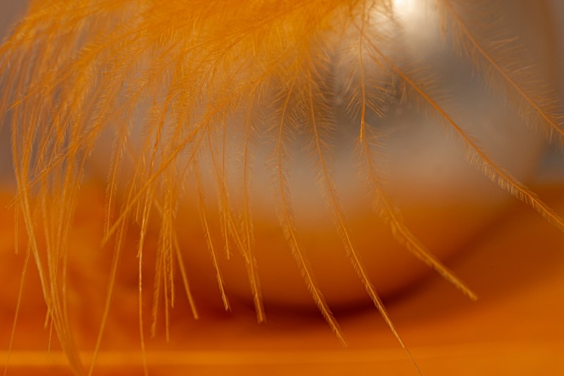 bdMichel creatieve fotografie (1).JPG - Michel
