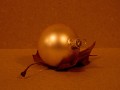 bdTiny creatieatieve fotografie (2)