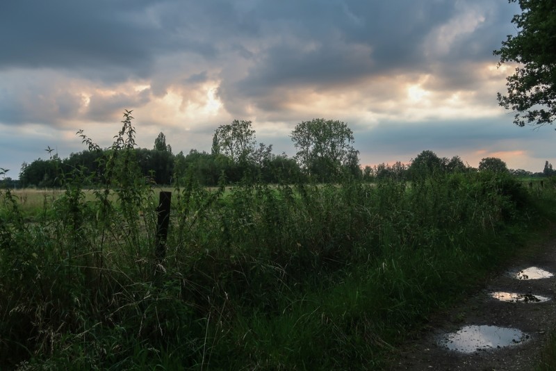 bdRiek-IMG_4728-2.JPG - Riek