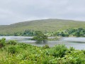 bdDimphy IMG_4166
