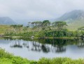 bdDimphy IMG_4180