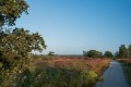 bdLizet_DSC0153
