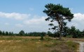 bdPaul-Landschap 1 