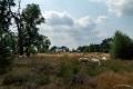 bdPaul-Landschap 2 