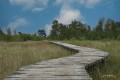 bdPaul-Landschap 3 