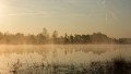 bdPeter voorgrond-408385
