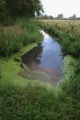 bdRiek-IMG_4726