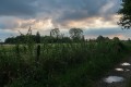 bdRiek-IMG_4728-2