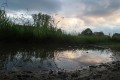 bdRiek-IMG_4730