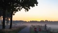 bdTon-DSC_0491
