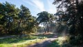 bdTon-DSC_0610