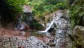 bdTon-DSC_8883