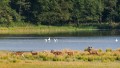 bdTon-DSC_9693