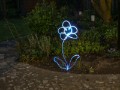 bdxpebe bloem meervoudig-5520