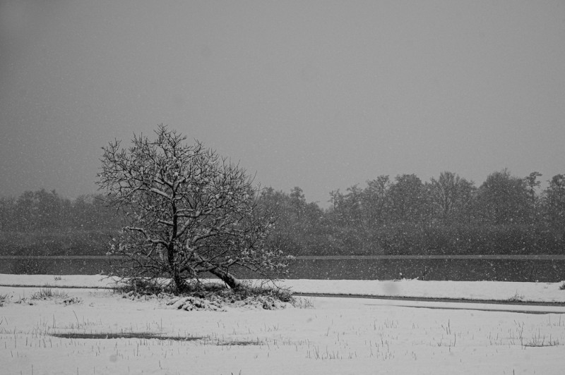 bdwinters weer Michel (2 van 2).JPG - Michel