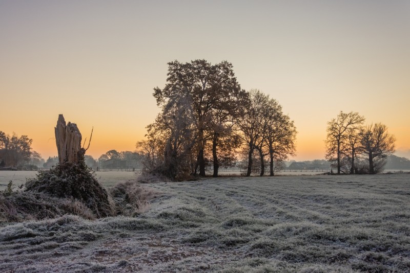 bdwinters weer Monique (1 van 3).JPG - Monique