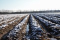 bdwinters weer Hans (2)