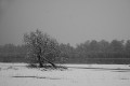 bdwinters weer Michel (2 van 2)