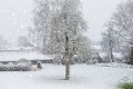 bdwinters weer Paul (1 van 7)