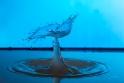 bdSplash  3  