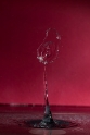 bdSplash  4  