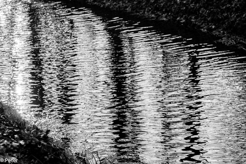 web_P-1703832.jpg - Snertwandeling