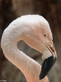 2018 dierenrijk-00918