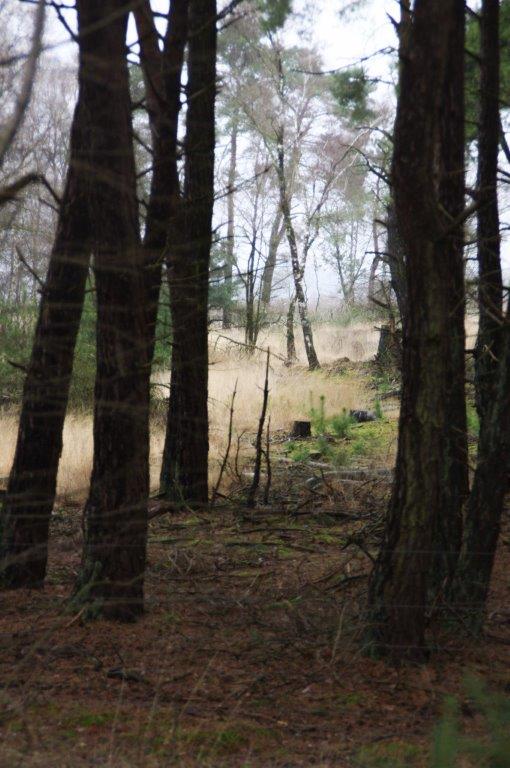 20090907-20090907-IMGP8613.jpg - Wandeling strabrechtse Heide