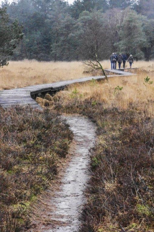 20090907-20090907-IMGP8660.jpg - Wandeling strabrechtse Heide