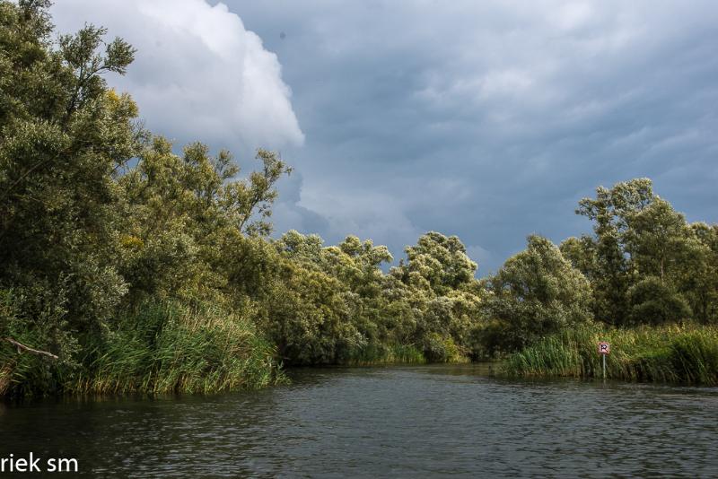 biesbosch01.jpg - Biesbosch