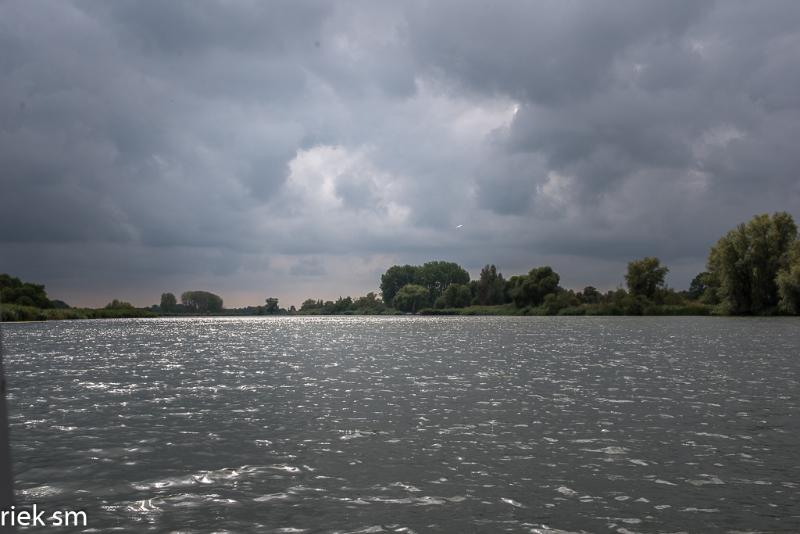 biesbosch04.jpg - Biesbosch