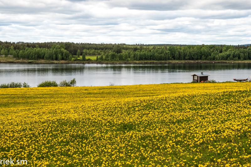 _IMG5110.jpg - Dwars door Finland