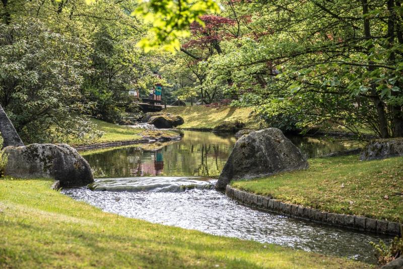 bdIMGP3653 - kopie.JPG - Japanse tuine Hasselt