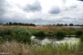 Biesbosch augustus 2018