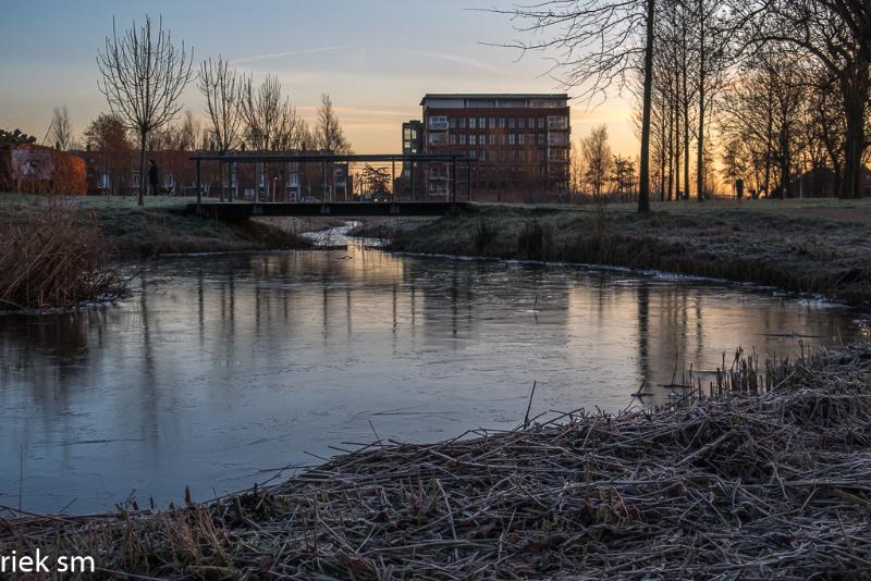 nachtvorst 201909.jpg - Eerste nachtvorst