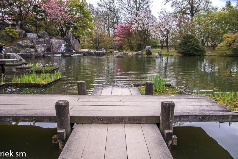 2019 Japanse tuin Hasselt (4 van 50).jpg - Japanse tuin Hasselt