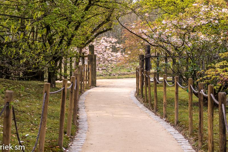 2019 Japanse tuin Hasselt (48 van 50).jpg - Japanse tuin Hasselt