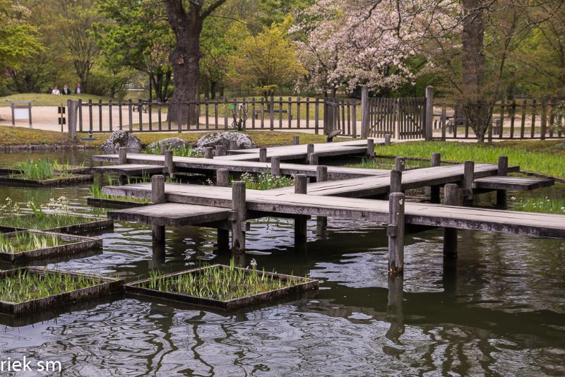 2019 Japanse tuin Hasselt (5 van 50).jpg - Japanse tuin Hasselt