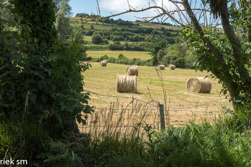 normandie 31.jpg - Normandië 2019