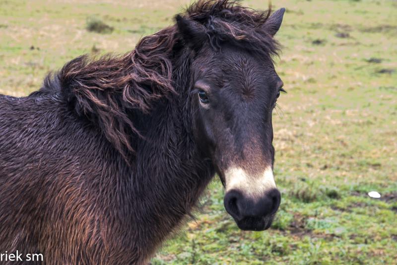 lozerheide13.jpg - Snertwandeling 2019