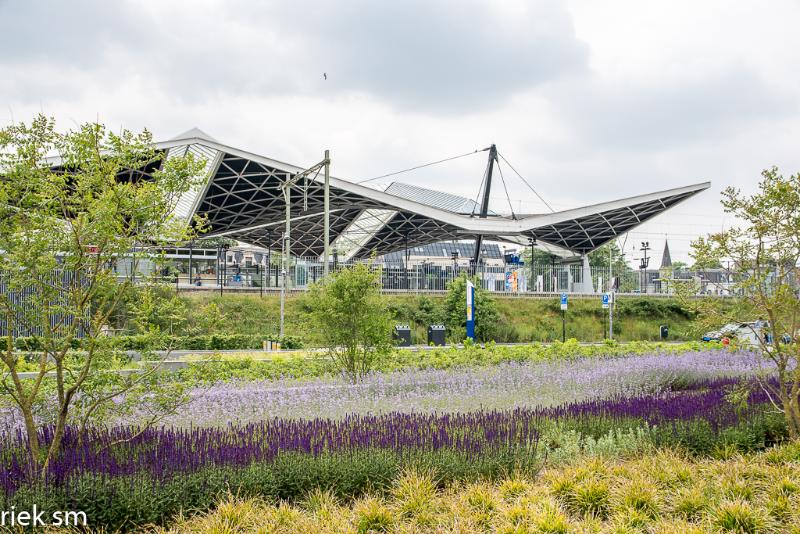 Spoorzone Tilburg (18 van 30).jpg - Spoorzone Tilburg 2019