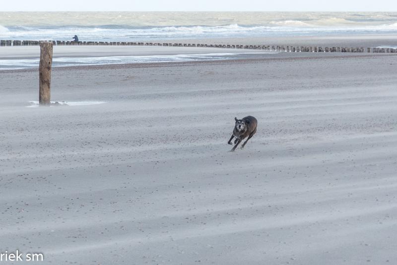 Kust Zeeland 2020 18.jpg - Kust Zeeland 2020