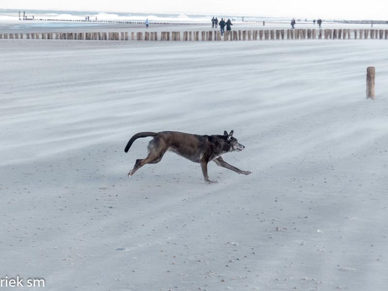 Kust Zeeland 2020 19.jpg - Kust Zeeland 2020