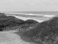 Kust Zeeland 2020 13