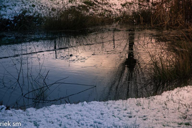 eerstesneeuw202105.jpg - Eerste Sneeuw 2021