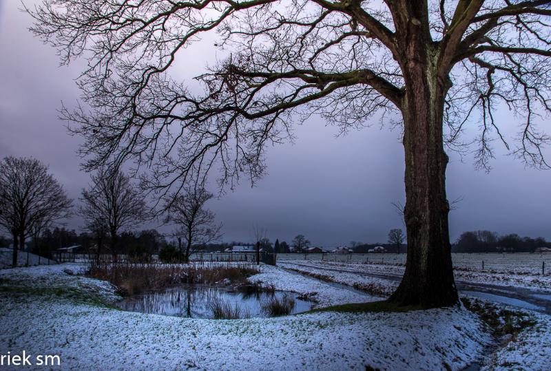 eerstesneeuw202109.jpg - Eerste Sneeuw 2021